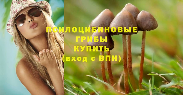 ешки Волоколамск